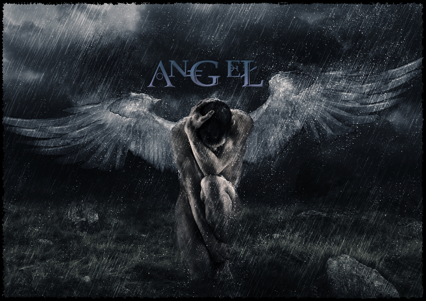 angel Index du Forum