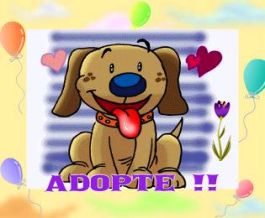 chienadopte1
