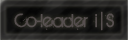 Co-Leader