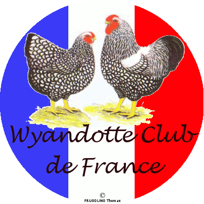 Le forum du Wyandotte Club Français Index du Forum