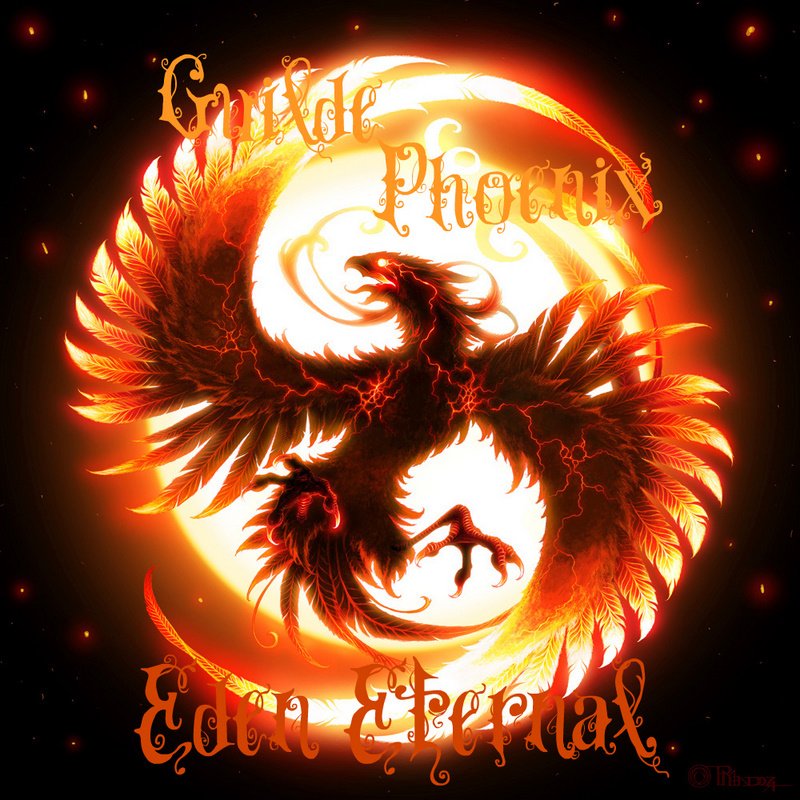 la guilde Phoenix Index du Forum