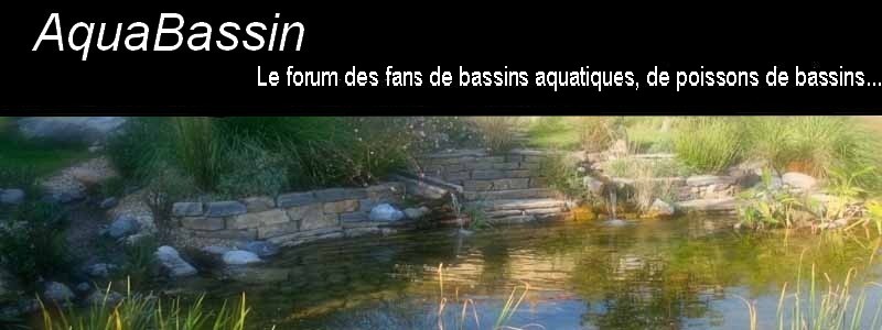 AquaBassin Index du Forum