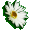 No new posts