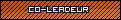 Co-Leadeur