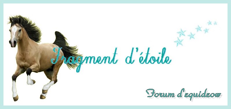 equideow Index du Forum