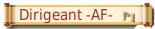Dirigeant -AF- Pi