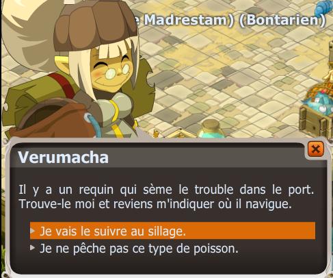 requiem dofus