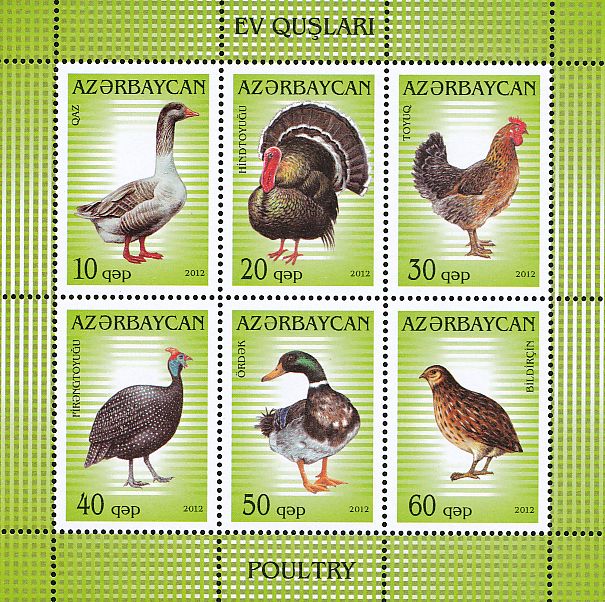 Lettres latines - rencontres avec des formes remarquables