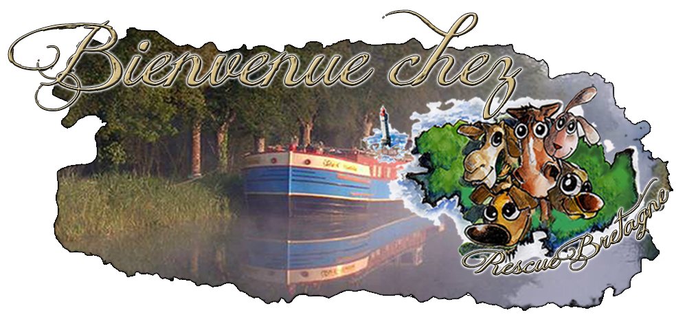 RESCUE BRETAGNE :: Adoptions & Sauvetages de chiens, chats, nac... Forum Index