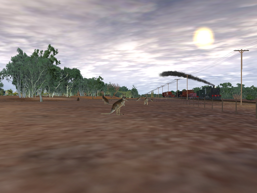 denis73_20130627_0040-4275783.jpg