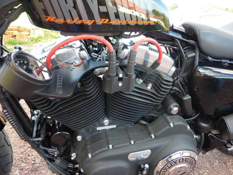 Harley Davidson Sporster 1200 Forty Eight avec quelques modifs ... P1030589-3f1e6f8