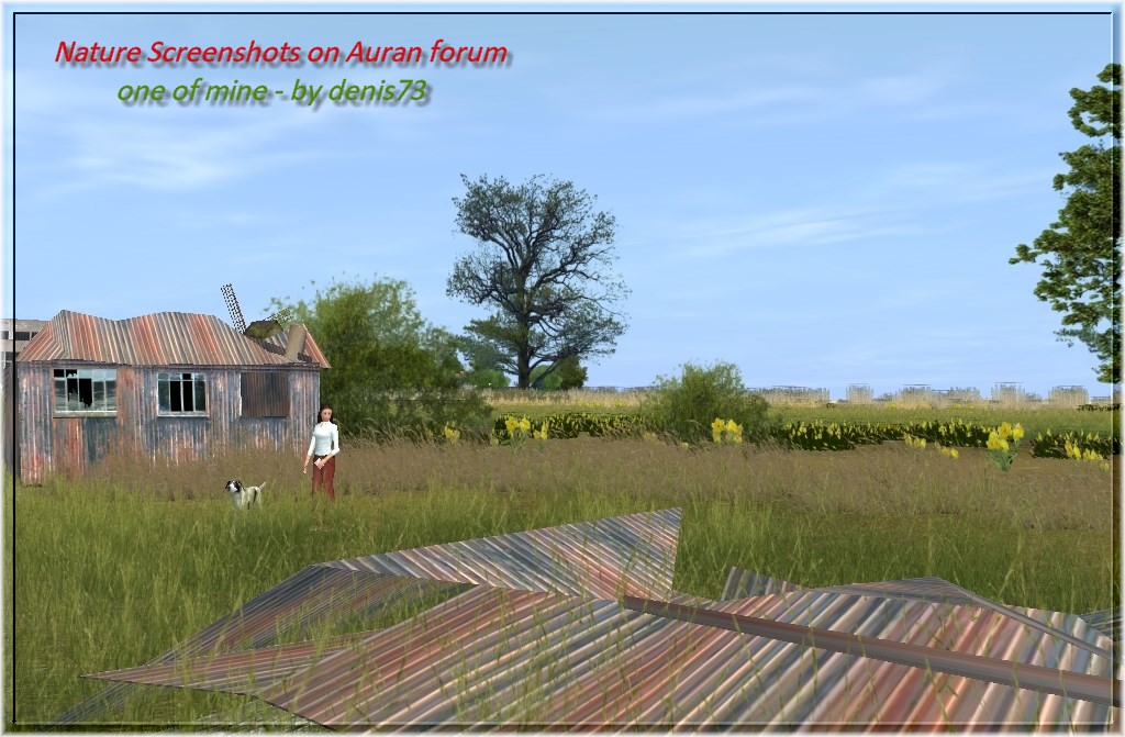 denis73_20120629_...-35ebf59-42bd3d2.jpg