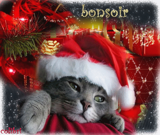 BONNE SOIRÉE DU SAMEDI 21 DECEMBRE 091214064648293448-42daa6c