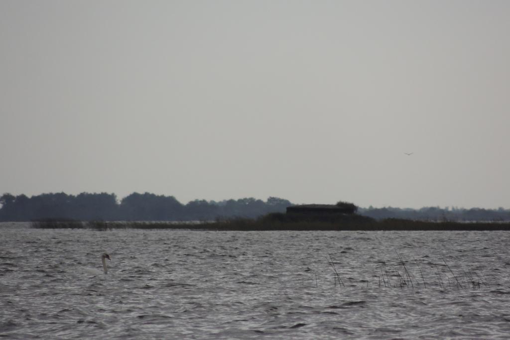 gironde rencontre