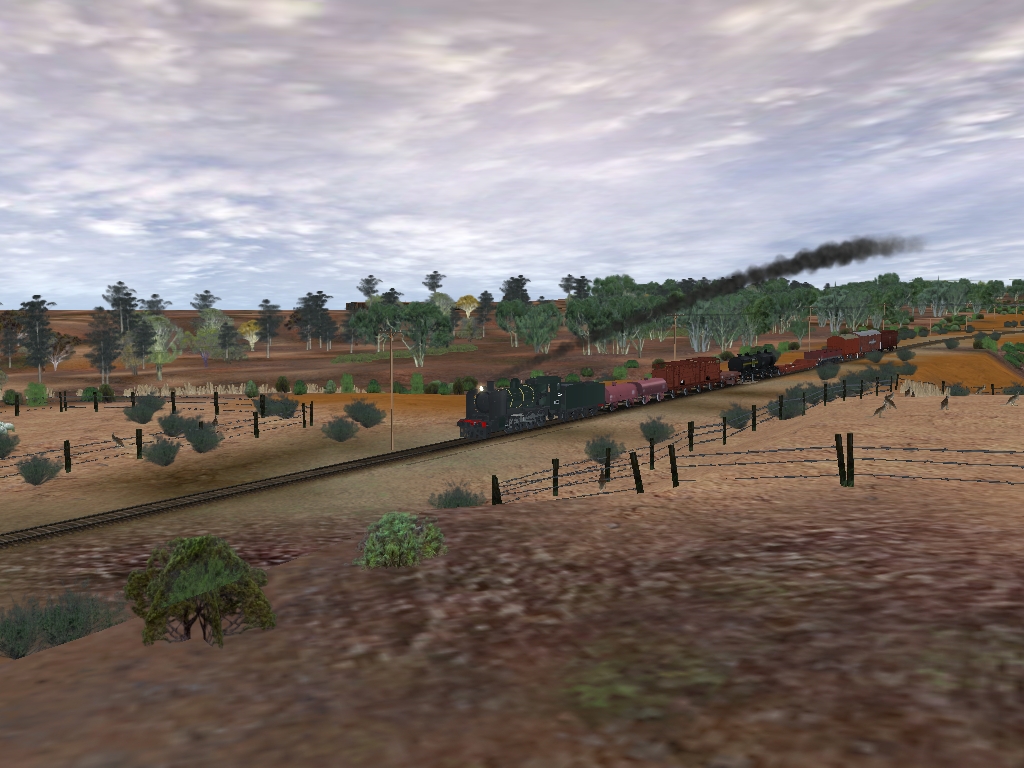 denis73_20130627_0033-4275732.jpg