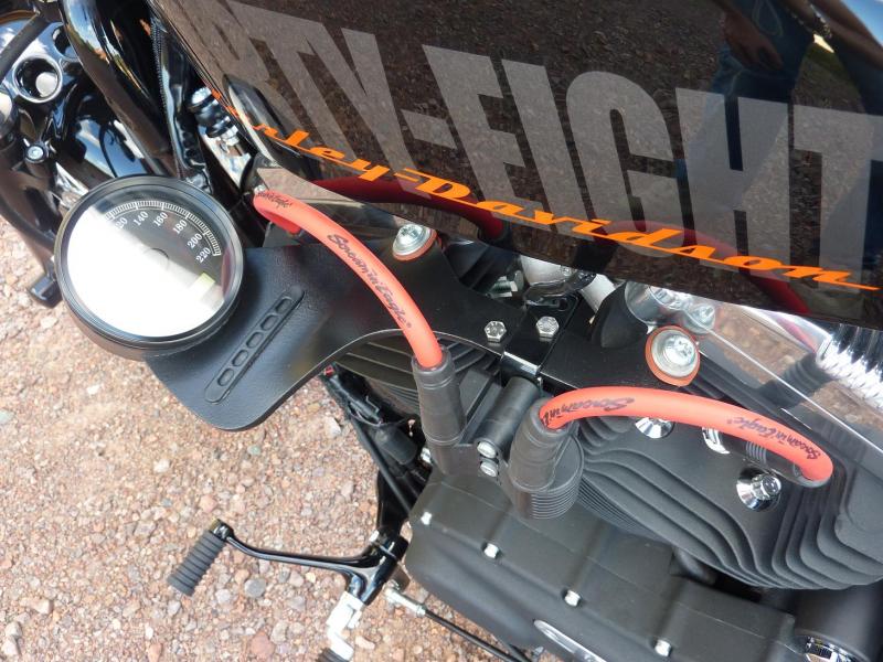 Harley Davidson Sporster 1200 Forty Eight avec quelques modifs ... P1030599-3f1e787