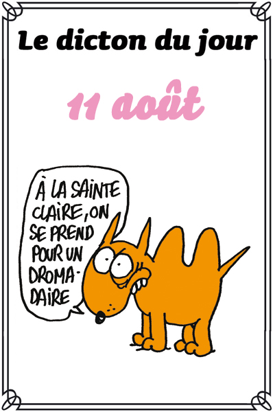 La Dame D Avalon Dicton Du Jour De Charlie Hebdo