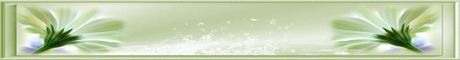 Tag logo sur ©Féline Pub | Forum de pub, codage, graphisme, annuaire web Plantes-verte-460x60-551def8