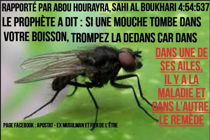 Comportement de Mohammed indigne d'un prophète