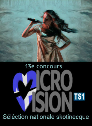 13è Concours Microvision de la Chanson à Bergenberg (Freineubourg) 13microvisionskonat-58395e0