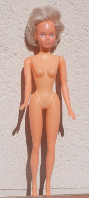 LE MONDE DES POUPEES MANNEQUIN: COLLECTION TAILLE 30 CM POUPEE TYPE KEN