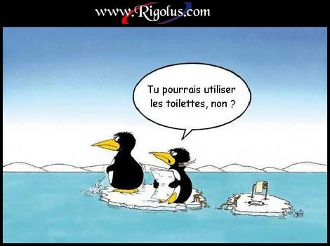 https://img.xooimage.com/files68/4/b/2/humour_jl_g_021-2f3a3f9.jpg