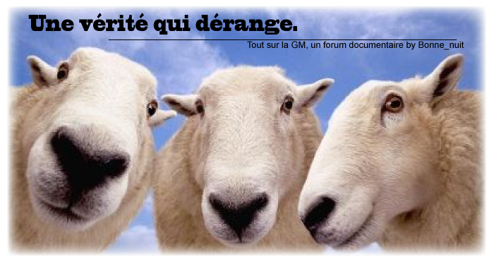 http://img.xooimage.com/files7/8/c/b/gmmouton-2c5c735.png