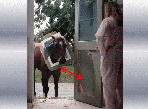 Jeudi 30 mai 2013 - Humour